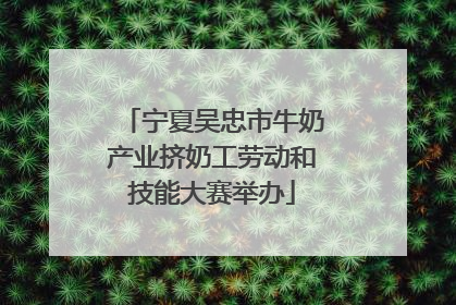 宁夏吴忠市牛奶产业挤奶工劳动和技能大赛举办