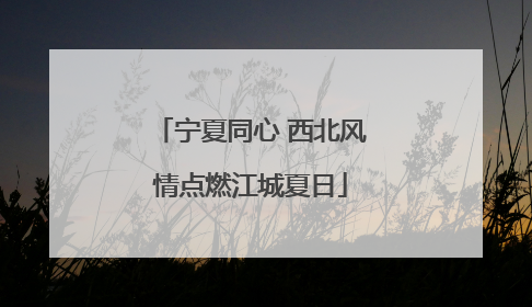 宁夏同心 西北风情点燃江城夏日
