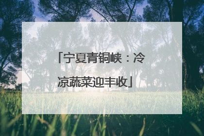 宁夏青铜峡：冷凉蔬菜迎丰收