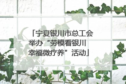 宁夏银川市总工会举办“劳模看银川 幸福微疗养”活动