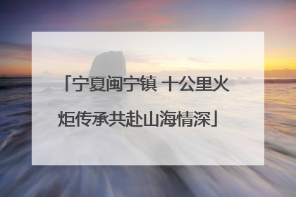 宁夏闽宁镇 十公里火炬传承共赴山海情深