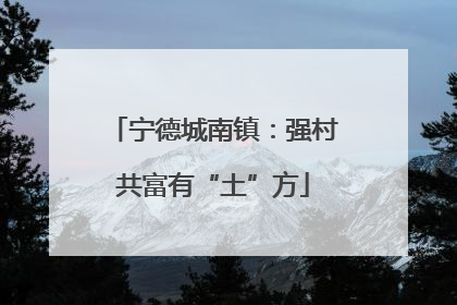 宁德城南镇：强村共富有“土”方