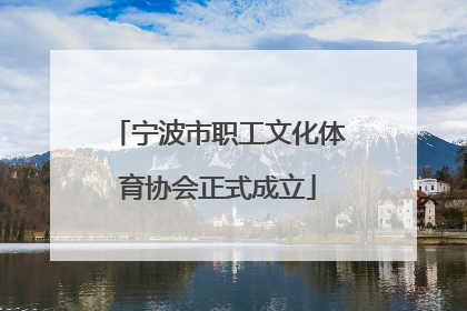宁波市职工文化体育协会正式成立