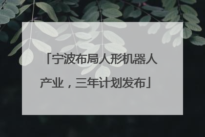 宁波布局人形机器人产业，三年计划发布