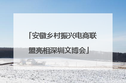 安徽乡村振兴电商联盟亮相深圳文博会