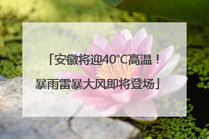 安徽将迎40℃高温！暴雨雷暴大风即将登场