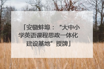 安徽蚌埠：“大中小学英语课程思政一体化建设基地”授牌