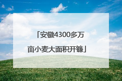 安徽4300多万亩小麦大面积开镰
