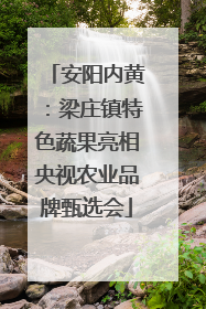 安阳内黄：梁庄镇特色蔬果亮相央视农业品牌甄选会