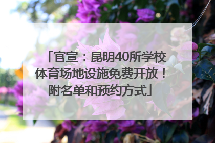 官宣：昆明40所学校体育场地设施免费开放！附名单和预约方式