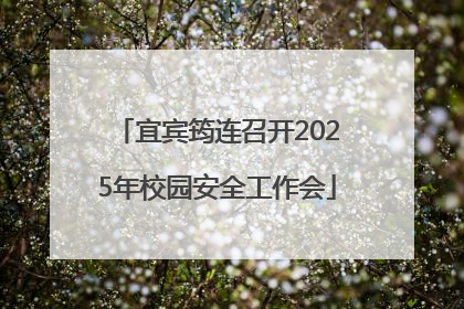 宜宾筠连召开2025年校园安全工作会