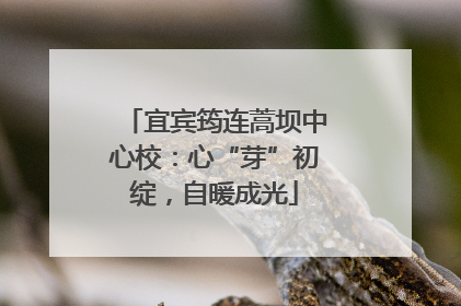 宜宾筠连蒿坝中心校：心“芽”初绽，自暖成光