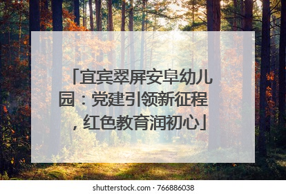 宜宾翠屏安阜幼儿园：党建引领新征程，红色教育润初心