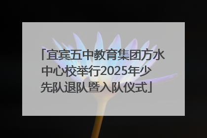 宜宾五中教育集团方水中心校举行2025年少先队退队暨入队仪式