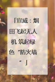宣威：烟田飞起无人机 筑起绿色“防火墙”