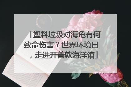 塑料垃圾对海龟有何致命伤害？世界环境日，走进开普敦海洋馆