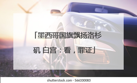 墨西哥国旗飘扬洛杉矶 白宫：看，罪证