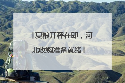 夏粮开秤在即，河北收购准备就绪