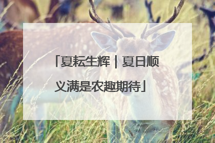 夏耘生辉｜夏日顺义满是农趣期待