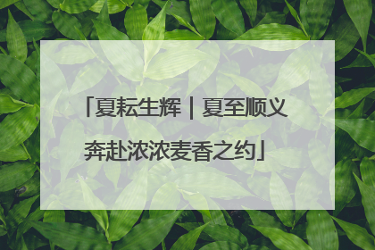 夏耘生辉｜夏至顺义奔赴浓浓麦香之约