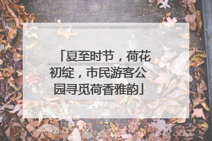 夏至时节，荷花初绽，市民游客公园寻觅荷香雅韵