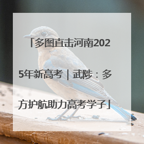 多图直击河南2025年新高考｜武陟：多方护航助力高考学子