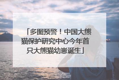 多图预警！中国大熊猫保护研究中心今年首只大熊猫幼崽诞生