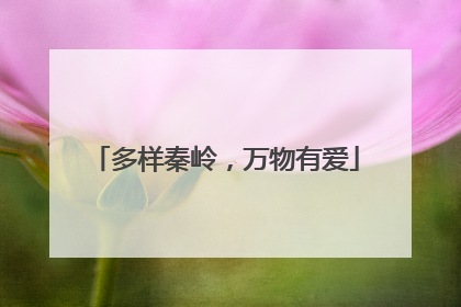 多样秦岭，万物有爱