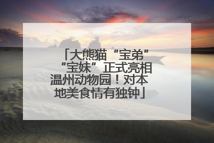大熊猫“宝弟”“宝妹”正式亮相温州动物园！对本地美食情有独钟