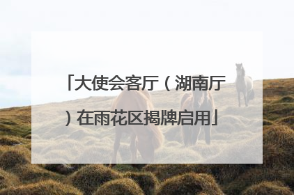 大使会客厅（湖南厅）在雨花区揭牌启用