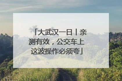 大武汉一日丨亲测有效，公交车上这波操作必须夸