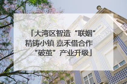 大湾区智造“联姻”精铸小镇 嘉禾借合作“破茧”产业升级