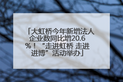 大虹桥今年新增法人企业数同比增20.6%！“走进虹桥 走进进博”活动举办