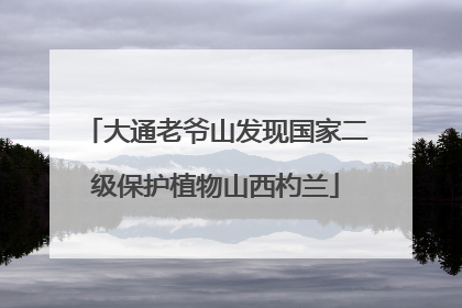 大通老爷山发现国家二级保护植物山西杓兰