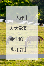 天津市人大常委会任免一批干部