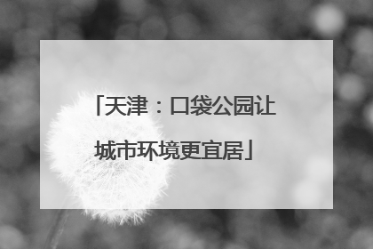 天津：口袋公园让城市环境更宜居