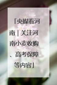央媒看河南｜关注河南小麦收购、高考保障等内容