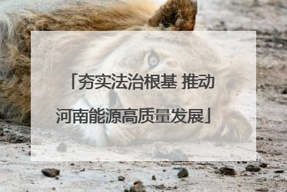 夯实法治根基 推动河南能源高质量发展
