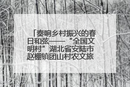 奏响乡村振兴的春日和弦——“全国文明村”湖北省安陆市赵棚镇团山村农文旅融合发展见闻