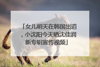 女儿明天在韩国出道，小沈阳今天晒沈佳润新专辑宣传视频