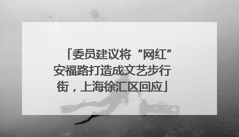 委员建议将“网红”安福路打造成文艺步行街，上海徐汇区回应