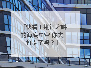 快看！荆江之畔的海底星空 你去打卡了吗？