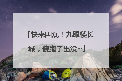 快来围观！九眼楼长城，傻狍子出没~
