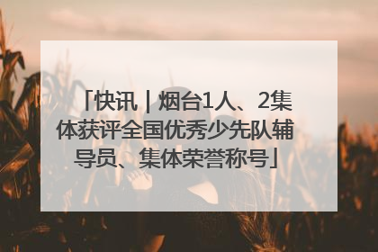 快讯｜烟台1人、2集体获评全国优秀少先队辅导员、集体荣誉称号