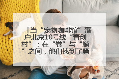 当“宠物咖啡馆”落户北京10号线“青创村”：在“卷”与“躺”之间，他们找到了第三种生活公式