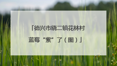 德兴市绕二镇花林村蓝莓“紫”了（图）