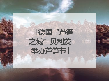 德国“芦笋之城”贝利茨举办芦笋节