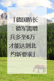 德国防长：德军需增兵多至6万才能达到北约新要求