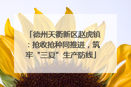 德州天衢新区赵虎镇：抢收抢种同推进，筑牢“三夏”生产防线
