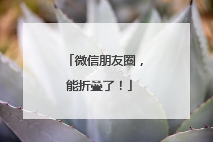 微信朋友圈，能折叠了！